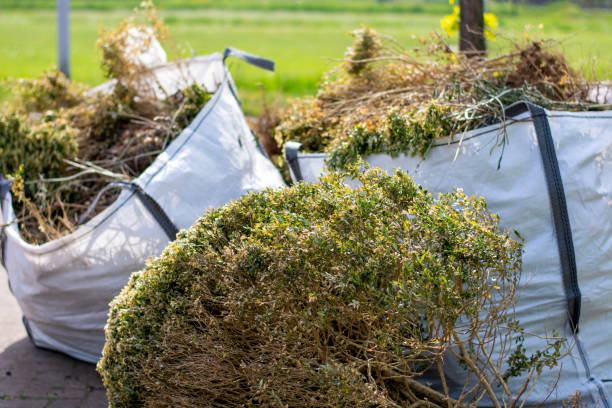 Best Electronics and E-Waste Disposal  in Early, TX